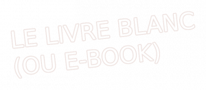 Livre blanc (ou e-book)